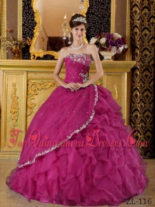 Fuchsia Ball Gown Strapless Floor-length Organza Appliques Bule Quinceanera Dress