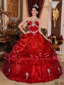 Wine Red Ball Gown Strapless Floor-length Organza Appliques Quinceanera Dress