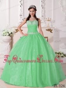 New Style Apple Green Ball Gown Strapless Floor-length Taffeta and Organza Appliques Quinceanera Dress