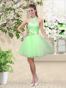 Tulle Halter Top Sleeveless Lace Up Lace and Belt Court Dresses for Sweet 16 in