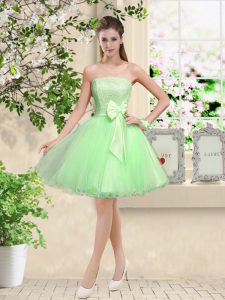 Eye-catching Sleeveless Organza Lace Up Court Dresses for Sweet 16 for Prom and Party