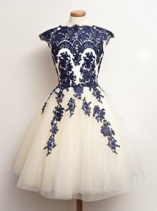 Sophisticated Blue And White A-line Appliques Dama Dress for Quinceanera Lace Up Tulle Sleeveless Mini Length