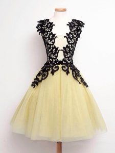 Popular Gold Sleeveless Tulle Lace Up Dama Dress for Prom and Party and Wedding Party