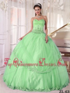 Apple Green Ball Gown Sweetheart Floor-length Taffeta and Tulle Appliques Quinceanera Dress