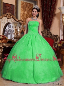 Green Ball Gown Strapless Floor-length Organza Appliques Quinceanera Dress