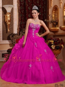 Fuchsia Ball Gown Sweetheart Floor-length Organza Appliques Quinceanera Dress