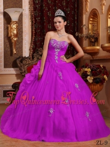 Fuchsia Ball Gown Sweetheart Floor-length Organza Appliques Quinceanera Dress