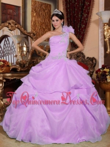 Lavender Ball Gown One Shoulder Floor-length Organza Appliques Quinceanera Dress