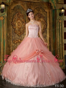 Watermelon Ball Gown Strapless Floor-length Appliques Tulle Quinceanera Dress
