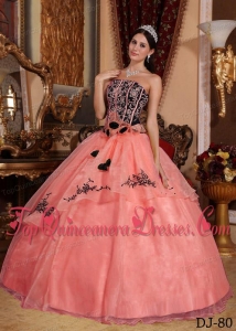 Watermelon and Black Strapless Floor-length Organza Embroidery Quinceanera Dress