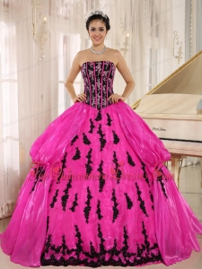 Hot Pink 2013 New Arrival Strapkess Embroidery Decorate For Quinceanera Dress