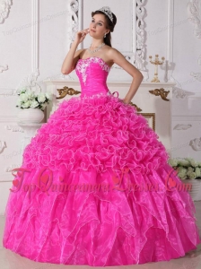 Pink Ball Gown Strapless Floor-length Organza Embroidery with Beading Quinceanera Dress