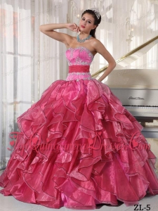 Strapless Ball Gown Floor-length Organza Appliques Quinceanera Dress