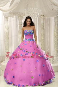 Hot Pink Ball Gown 2013 Unique Quninceaera Gown For Custom Made Appliques Decorate Bodice