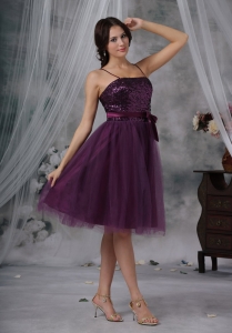 Tulle Paillette Dama Dress Purple Spaghetti Straps Knee-length