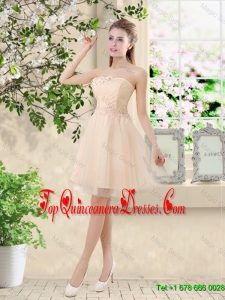 Fashionable Strapless Appliques and Belt Dama Dresses in Champagne