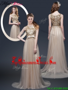 2016 Luxurious Brush Train Dama Dresses with Appliques and Bowknot