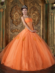 Orange Organza A-line Appliques Quinceanera Dress