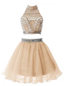 Glorious Champagne A-line Beading Quinceanera Dama Dress Zipper Organza Sleeveless Knee Length