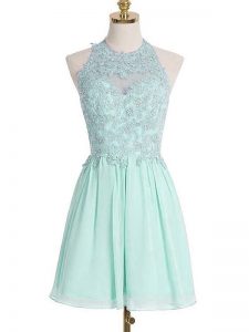 Chiffon Sleeveless Knee Length Dama Dress and Appliques