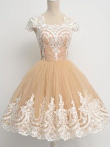 Stunning Champagne Cap Sleeves Tulle Zipper Quinceanera Court Dresses for Prom and Party and Wedding Party