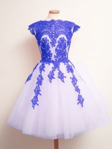 Traditional Tulle Scalloped Sleeveless Lace Up Appliques Dama Dress in Blue And White