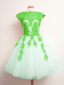 Elegant Multi-color Lace Up Scalloped Appliques Court Dresses for Sweet 16 Tulle Sleeveless