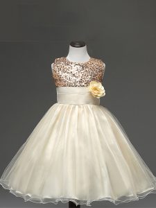 Champagne Sleeveless Tulle Zipper Little Girls Pageant Dress Wholesale for Wedding Party