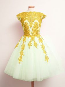 Mini Length Multi-color Quinceanera Court of Honor Dress Tulle Sleeveless Appliques