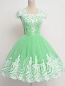 Clearance Square Cap Sleeves Zipper Court Dresses for Sweet 16 Apple Green Tulle