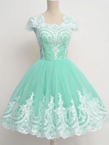 Apple Green Zipper Court Dresses for Sweet 16 Lace Cap Sleeves Knee Length