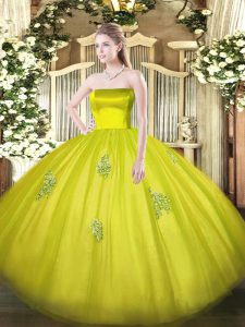 Most Popular Floor Length Ball Gowns Sleeveless Olive Green Quinceanera Gowns Zipper