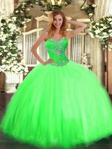 Fantastic Sleeveless Tulle Lace Up Sweet 16 Dresses for Sweet 16 and Quinceanera