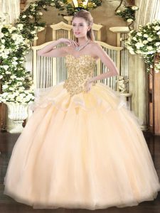 Affordable Sleeveless Organza Floor Length Lace Up Sweet 16 Dress in Champagne with Appliques