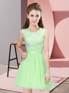 Scoop Sleeveless Tulle Dama Dress for Quinceanera Lace Side Zipper