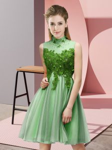 Tulle High-neck Sleeveless Lace Up Appliques Court Dresses for Sweet 16 in Apple Green