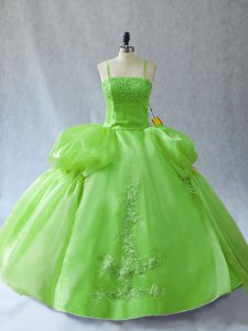 Sleeveless Lace Up Floor Length Appliques Ball Gown Prom Dress