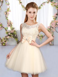 Fabulous Champagne Sleeveless Tulle Lace Up Court Dresses for Sweet 16 for Wedding Party