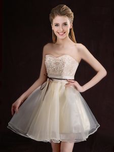 Organza Sleeveless Mini Length Quinceanera Court of Honor Dress and Appliques and Belt