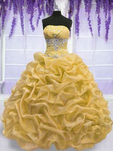 Organza Sleeveless Floor Length Quinceanera Gown and Beading