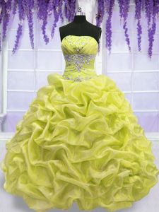 Noble Organza Sleeveless Floor Length Quinceanera Dress and Beading