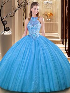 Baby Blue Ball Gowns Embroidery 15 Quinceanera Dress Backless Tulle Sleeveless Floor Length